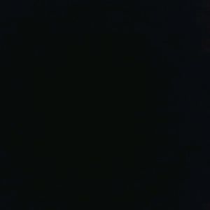 Meet your Posher, Lorilee